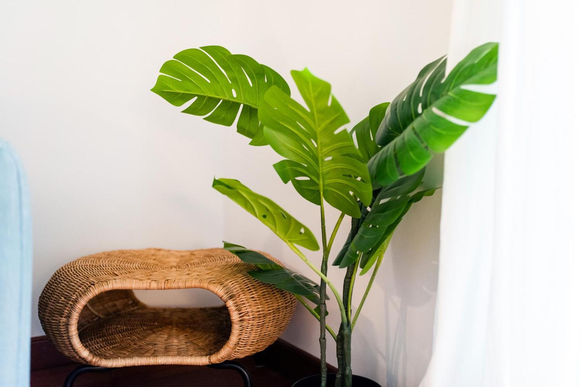 Apartamento Con Encanto, Centro Grenade Extérieur photo